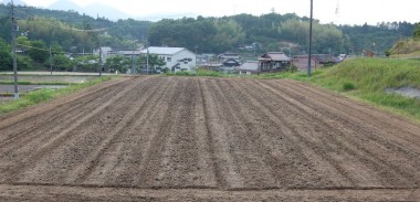 米糠、堆肥散布後の耕起