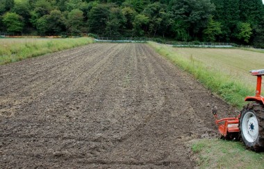 稲刈直後の荒起し（耕起）、この田んぼは米糠など一切入れない