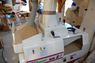 ジャバラのホースから下りてきた籾はこの籾すり機で玄米とモミ殻に分ける