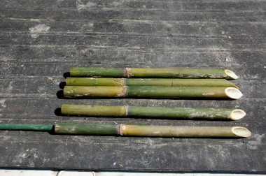 竹の節のところでパイプを支える、節より下で土に入れる長さを調節する