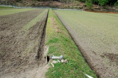 畦際に掘った明渠