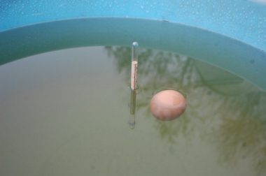 比重計と生卵で塩水の比重を確認