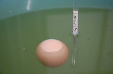 塩水濃度は生卵とボーメ計（比重計）を参考に調整