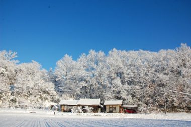 粉雪が降った翌朝 寒くて晴れたら