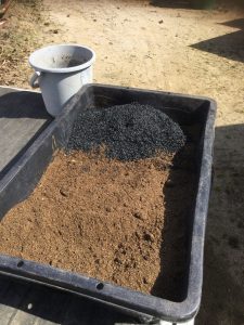 初めての挑戦 コーヒーカス・米糠・燻炭でボカシ肥作り
