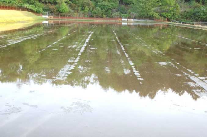 水をもう少し減らして明日田植