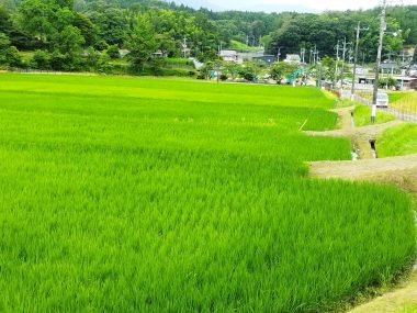 パッと見て気付いたら凄い（この景色を知る人にしか分からない）