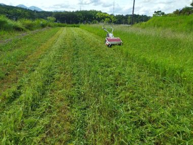 休耕田の草刈り