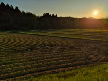 コンバインが走って道路に落とした土をそうじしたらすっかり日が暮れた