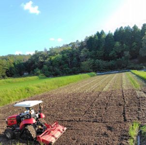 1回目の荒起が終わる