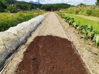 樹木のチップ、クズ米ボカシ、米糠、などを畝に撒いてから3回目の耕起