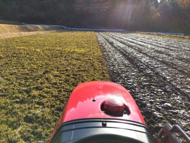 2回目の荒起（部分的には3回目の所もある）水分が多い