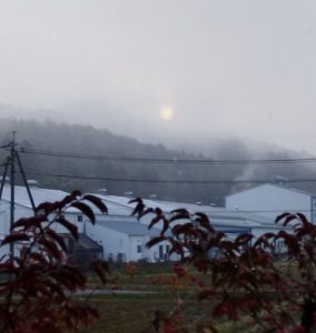 朝日が出た雪も降ってきた