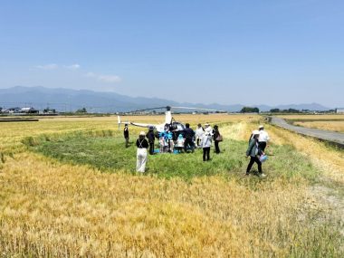 麦畑の中に作られた離着陸場