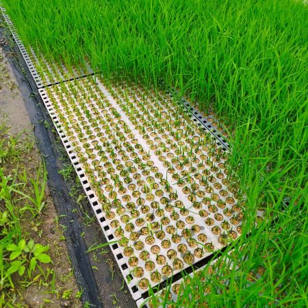 こんな所が他にも数か所ある