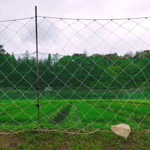 網目の小さいネットを重ねて張った
