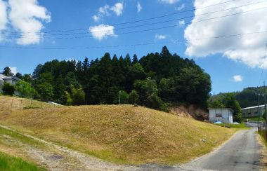斜面左側を草刈と草の運び出しをやってもらった