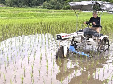三輪田植機の植付部分を取り外して除草機を組み込んだ