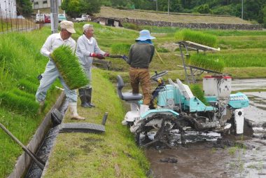 1往復ごとに苗の補充
