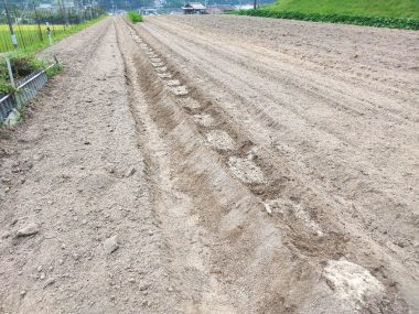 ③これが一番のポイントで米糠と土を混ぜる