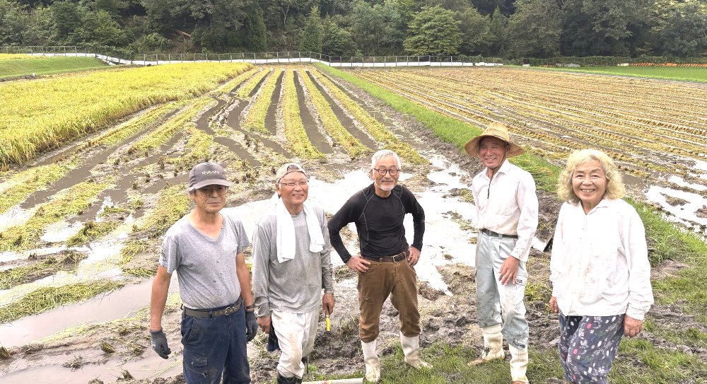 今回の稲刈メンバー