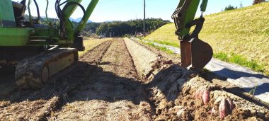 畝の向こうと手前を少し動かして土をほぐす