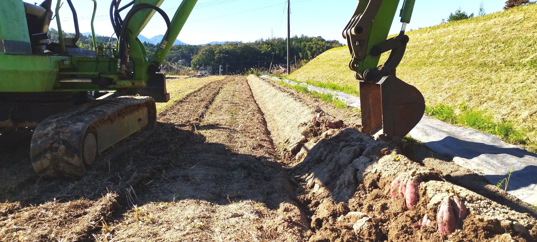 畝の向こうと手前を少し動かして土をほぐす