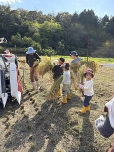 誰も言わなかったが子供たちは順番に稲を運んでいた