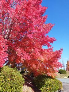 格納庫へ行く途中で見かけた