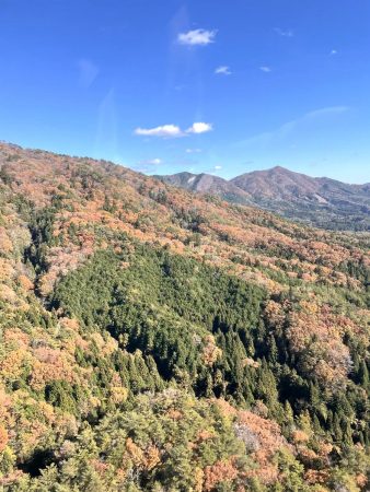 中国山地の紅葉