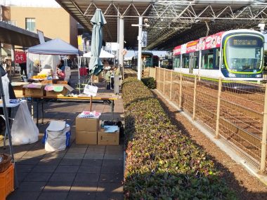 市内電車（宇品線の終点）と隣り合わせ