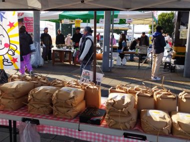 米を並べて準備完了