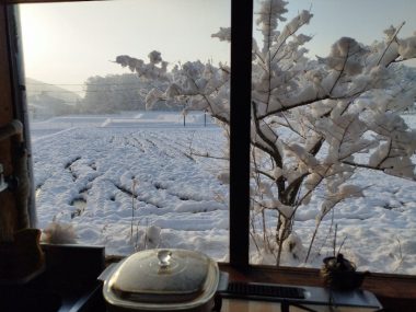 15cmくらいの積雪　今日も家の中