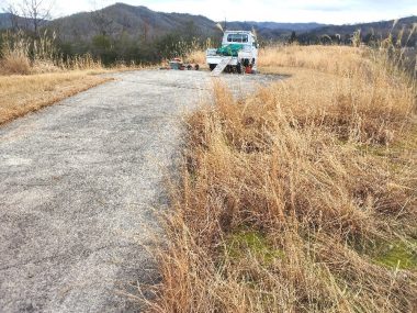 草ぼうぼうの状態