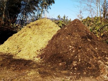 左側が今回作ったチップで右側が2年前に作ったもの