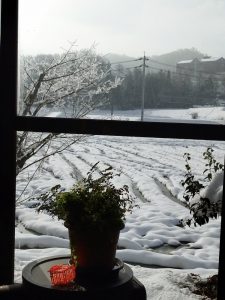 2/10 部屋から見た雪の田んぼ