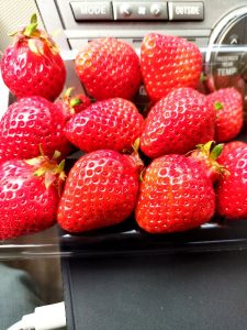 採れたて【あまおう】が二段で入っていた 500円