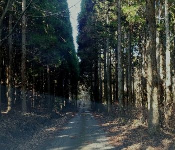 TAMさんと走ると『近道じゃぁ！』とこんな路が多い