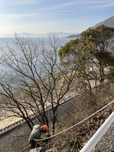 命綱のロープが外れたら下の道路まで40m一気に落ちる