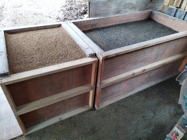 出来上がった苗土（床土）右側と左側の覆土