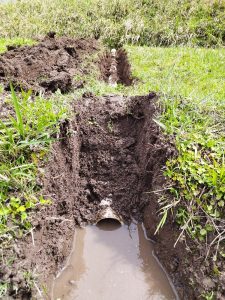 排水パイプ内に土が溜まるようになった