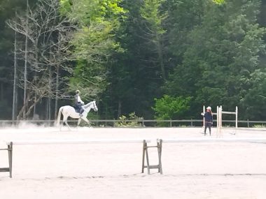 乗馬クラブに立ち寄ってみた