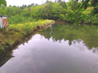 雨が降る前に溜池の点検